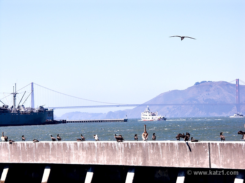 Golden Gate Bridge 4